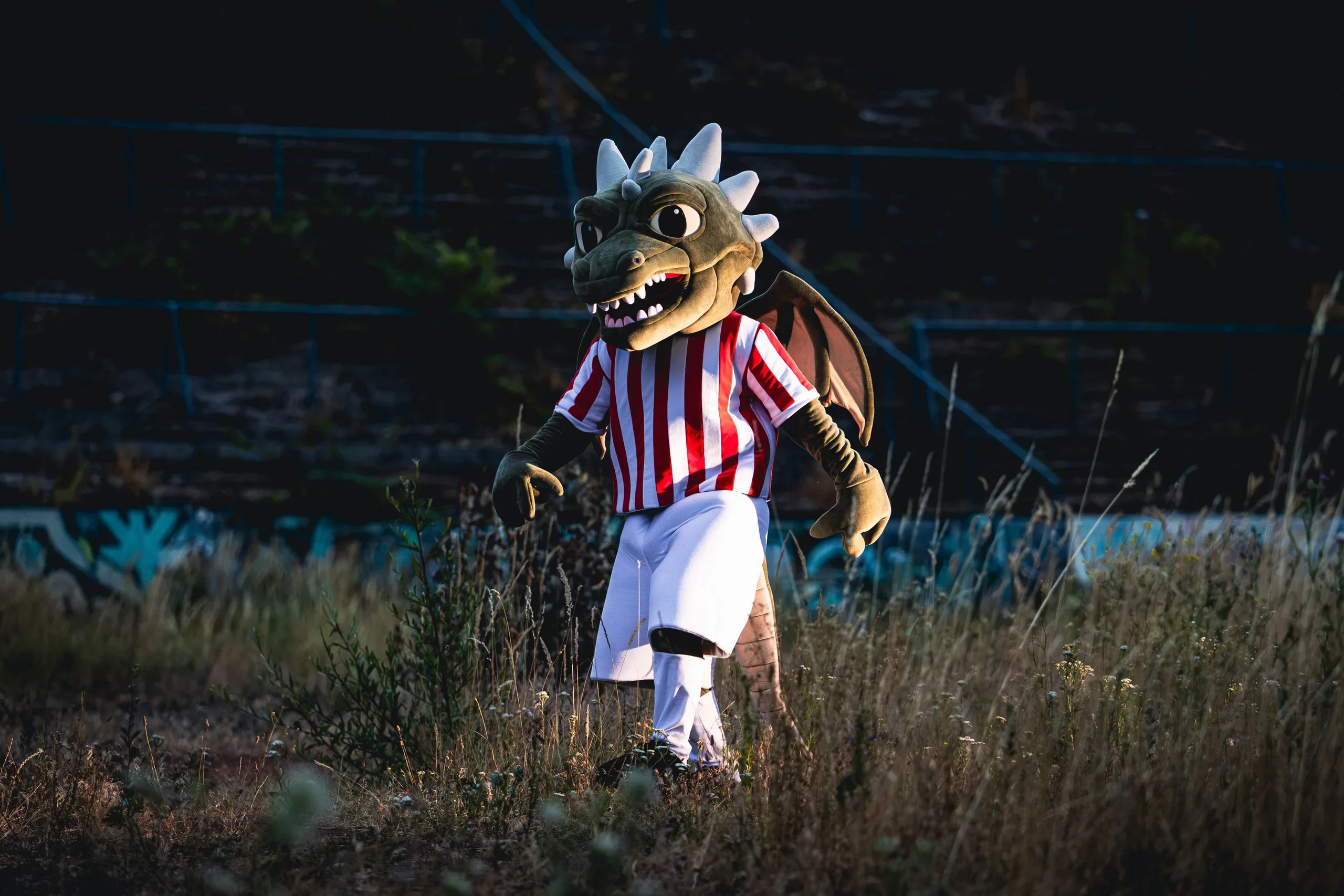 Lužan in the long grass of the old stadium