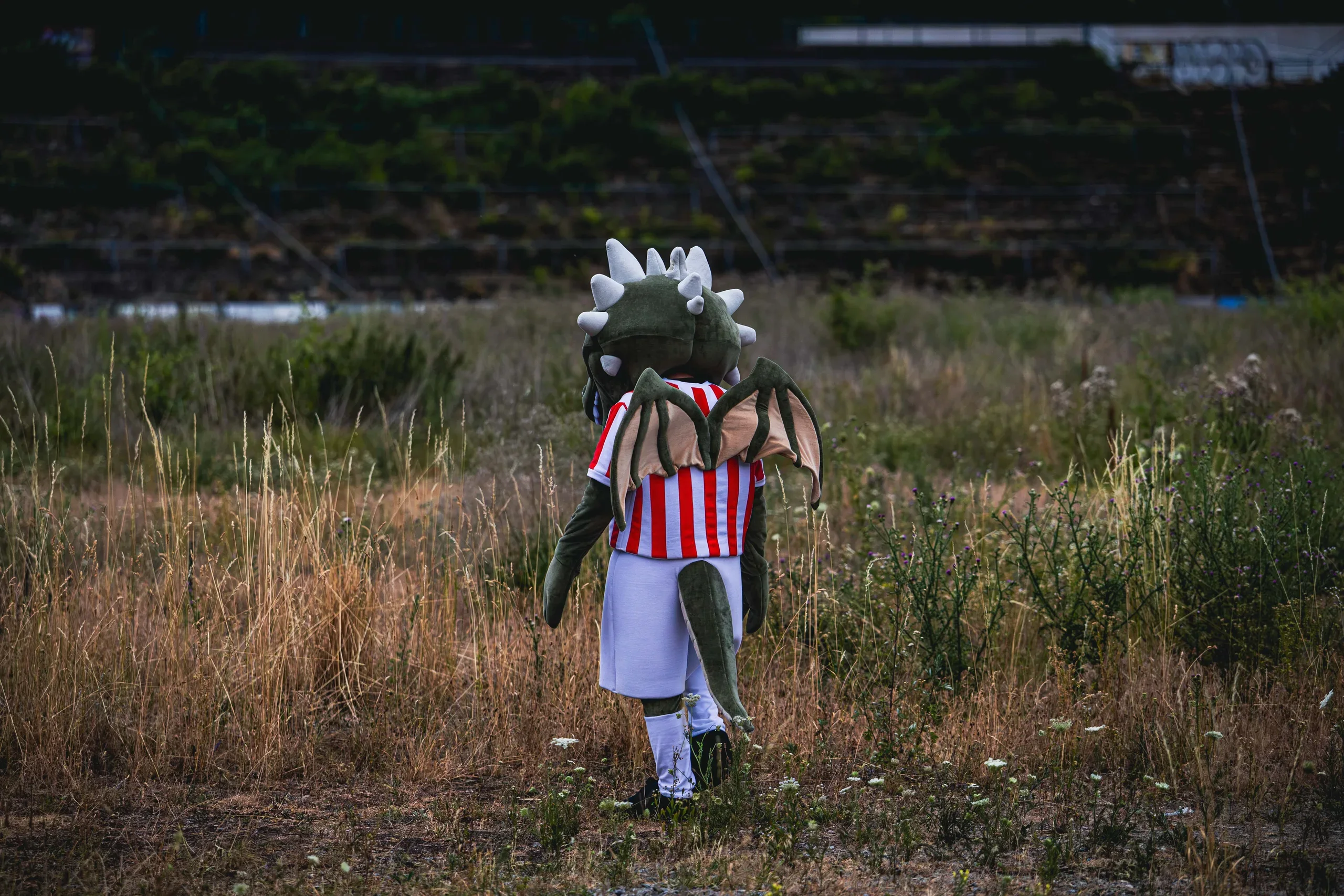 Lužan walking away across the overgrown stadium